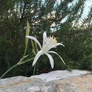 ca-di-bianca.hotelitalianriviera.com/
